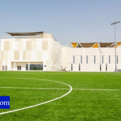 South View School L.L.C